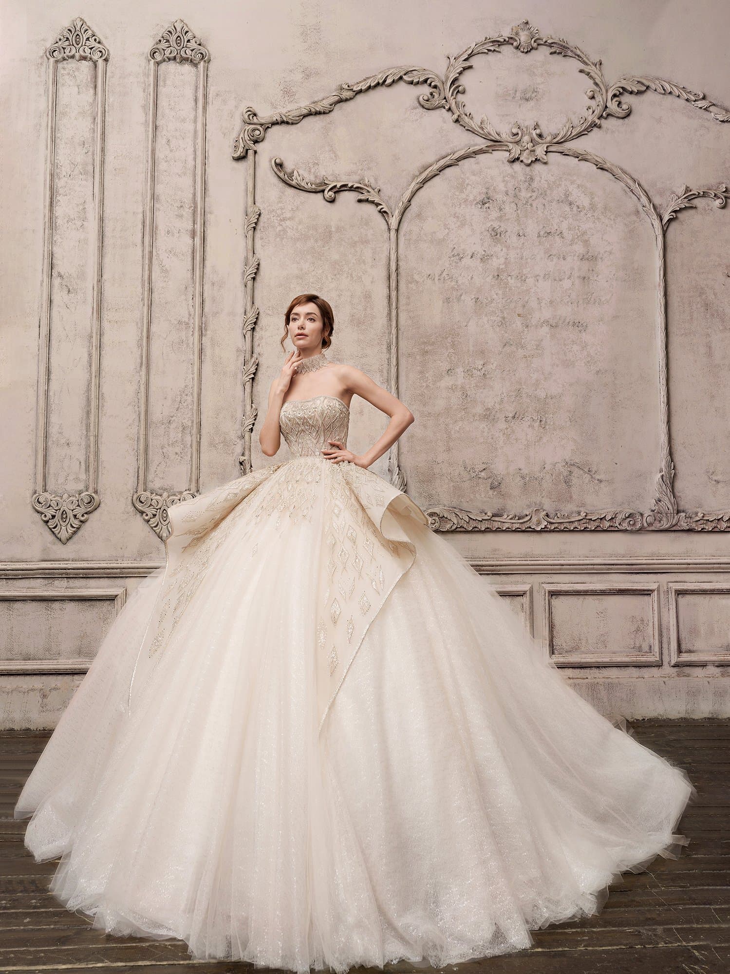 EMBROIDERED CORSET ROYAL GOWN WITH CHOKER